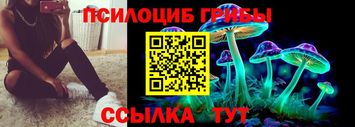 Вышний Волочёк  Галлюциногенные грибы прущие грибы  Вход с VPN 