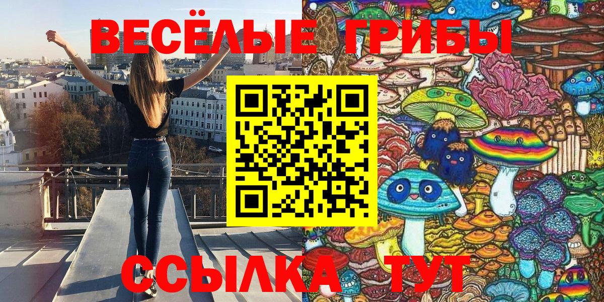 Псилоцибиновые грибы мицелий Вышний Волочёк